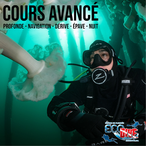 Advance Open Water Diver